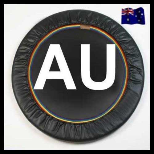  Lymphaciser rebounders are the best quality mini trampolines  for Australia, sold by Starbound with a free package this month of my Starbound book and online streaming mini trampoline rebounder videos